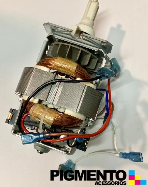 MOTOR DE PICADORA