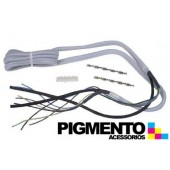 CORD  CS00120730
